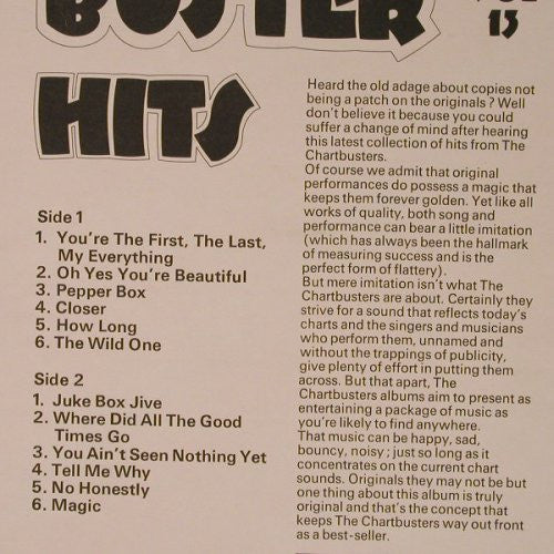 Unknown Artist – 12 Chart Buster Hits Vol 13
