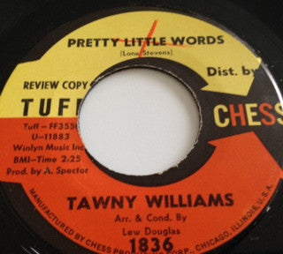 Tawny Williams – Pretty Little Words
