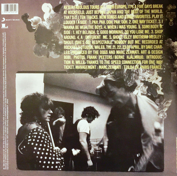 Dogs – Shout !