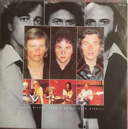 Bee Gees – Spirits Having Flown