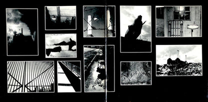 Pink Floyd – Animals