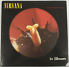 Nirvana – In Bloom — photo 1
