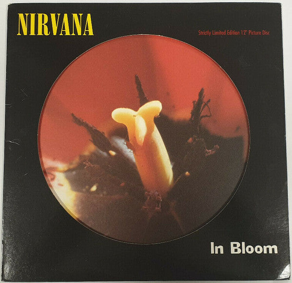 Nirvana – In Bloom