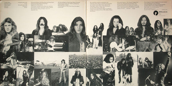 Deep Purple – Come Taste The Band