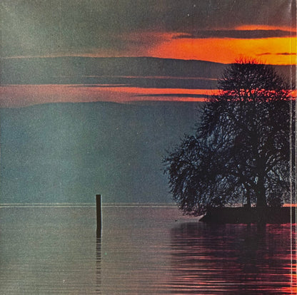 Yes – Going For The One