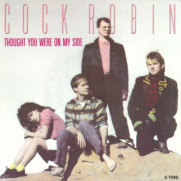 Cock Robin – Thought You Were On My Side