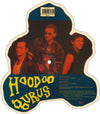Hoodoo Gurus – Come Anytime — photo 2