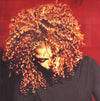 Janet Jackson – The Velvet Rope — photo 1