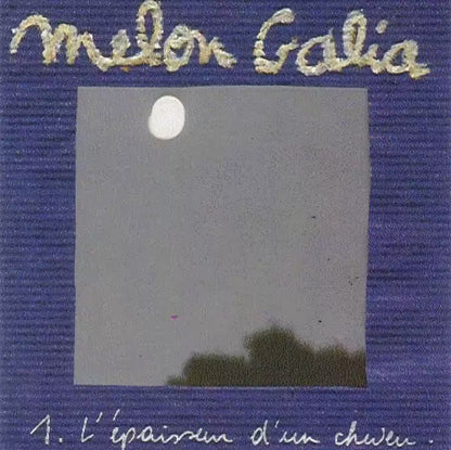 Melon Galia – L'épaisseur D'un Cheveu