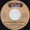 Sir Joe Quarterman & Free Soul – (I Got) So Much Trouble In My Mind — photo 2