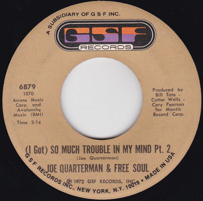 Sir Joe Quarterman & Free Soul – (I Got) So Much Trouble In My Mind