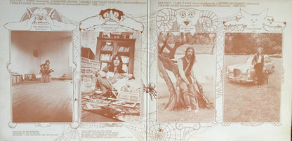 Savoy Brown – Looking In