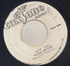 The Summertairs / Jackie Mittoo – You're Gonna Leave Me / Ram Jam — photo 1