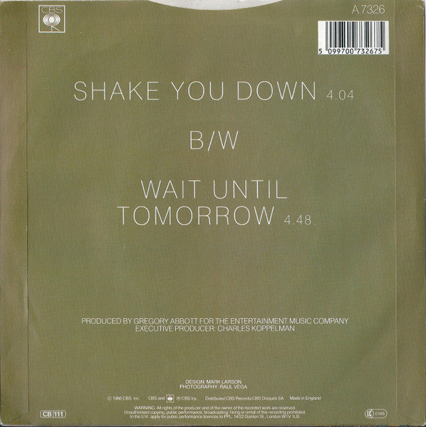 Gregory Abbott – Shake You Down