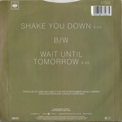 Gregory Abbott – Shake You Down