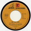 Nancy Sinatra & Lee Hazlewood – Did You Ever — photo 2