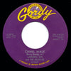 LaBrenda Ben And The Beljeans – Camel Walk / The Chaperone — photo 1