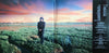 Zucchero – Oro Incenso & Birra — photo 2
