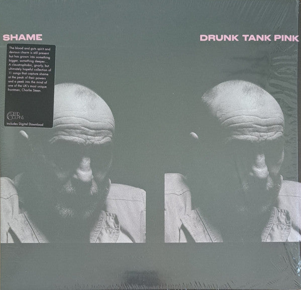 Shame (19) – Drunk Tank Pink
