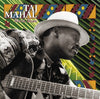 Taj Mahal – World Blues — photo 1