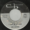 Joe Moore – I Know You Like A Book — photo 2