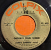 James Darren – Goodbye Cruel World — photo 2