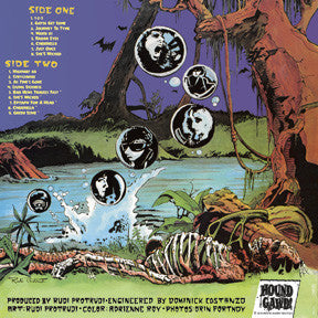 The Fuzztones – Lysergic Emanations
