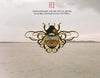 Zucchero – Fly — photo 2