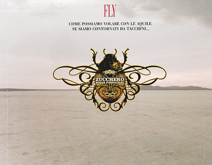 Zucchero – Fly