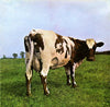 Pink Floyd – Atom Heart Mother — photo 1