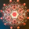 Gold Panda – Half Of Where You Live — photo 2