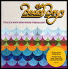 The Beach Boys – That's Why God Made The Radio — photo 2