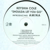 Keyshia Cole Introducing Amina Harris – Shoulda Let You Go — photo 2
