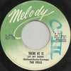 The Vells – You'll Never Cherish A Love So True ('Til You Lose It) / There He Is (At My Door) — photo 2