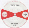 The Gaylads – Chipmunk Ska — photo 2