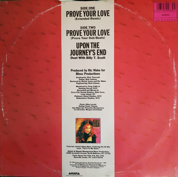 Taylor Dayne – Prove Your Love (Extended Remix)