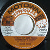Diana Ross – Ain't No Mountain High Enough / Reach Out And Touch (Somebody's Hand) — photo 2