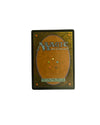 Carte Magic: The Gathering – Swamp (Marais) Foil – Zendikar #239/249 — photo 2