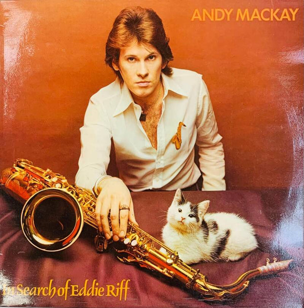 🇬🇧 ANDY MACKAY – In Search of Eddie Riff (1974) | Original UK First Pressing Vinyl LP