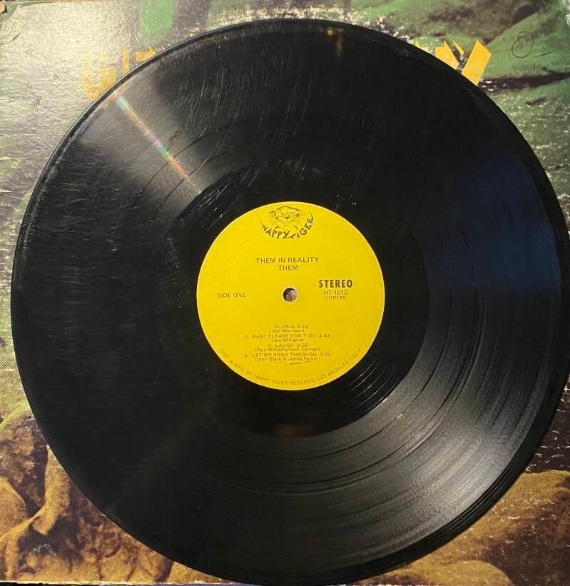 Them – Them In Reality — Vg / G+